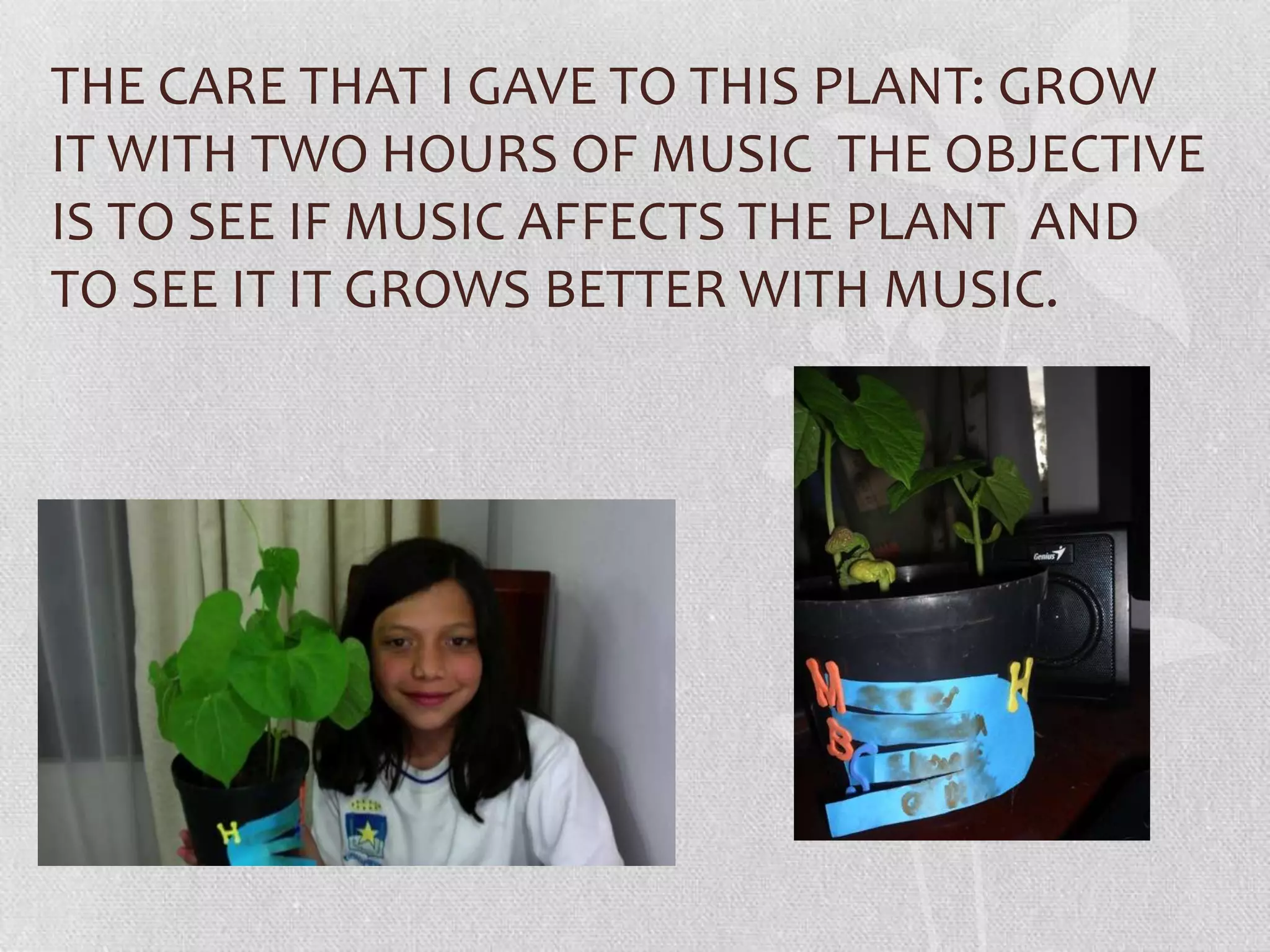 Plants alejandra tovar ramírez (1) | PPT