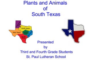 Plants and Animals  of  South Texas ,[object Object],[object Object],[object Object],[object Object]