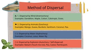 Plants and Animals Adaptation Presentation | PPTX