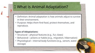 Plants and Animals Adaptation Presentation | PPTX