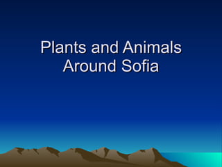 Plants and Animals Around Sofia 