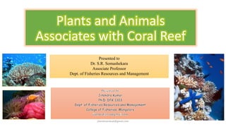 Plants and Animals
Associates with Coral Reef
Presented to
Dr. S.R. Somashekara
Associate Professor
Dept. of Fisheries Resources and Management
jitenderanduat@gmail.com
 