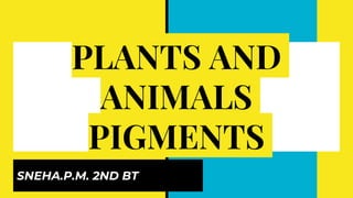 PLANTS AND
ANIMALS
PIGMENTS
SNEHA.P.M. 2ND BT
PLANTS AND
ANIMALS
PIGMENTS
 
