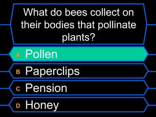 What do bees collect on
    their bodies that pollinate
             plants?
A   Pollen
B   Paperclips
C   Pension
D   Honey
 