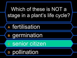 Which of these is NOT a
stage in a plant’s life cycle?

A   fertilisation
B   germination
C   senior citizen
D   pollination
 