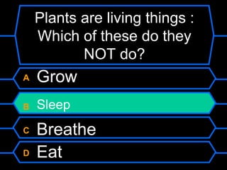 Plants are living things :
    Which of these do they
           NOT do?
A   Grow
B   Sleep
C   Breathe
D   Eat
 