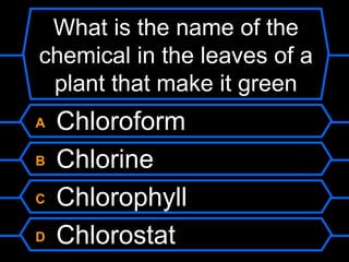 What is the name of the
chemical in the leaves of a
 plant that make it green
A   Chloroform
B   Chlorine
C   Chlorophyll
D   Chlorostat
 