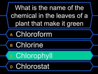What is the name of the
chemical in the leaves of a
 plant that make it green
A   Chloroform
B   Chlorine
C   Chlorophyll
D   Chlorostat
 
