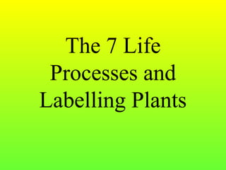 The 7 Life
Processes and
Labelling Plants
 