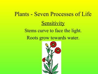 Plants and life processes | PPT