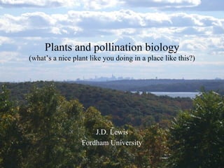 J.D. Lewis Fordham University Plants and pollination biology (what’s a nice plant like you doing in a place like this?) 