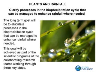 The long term goal will
be to elucidate
processes in the
bioprecipitation cycle
that can be managed to
enhance rainfall where
needed.
This goal will be
achieved as part of the
scientific programs of the
collaborating research
teams working through
three key steps.
PLANTS AND RAINFALL
Clarify processes in the bioprecipitation cycle that
can be managed to enhance rainfall where needed
 
