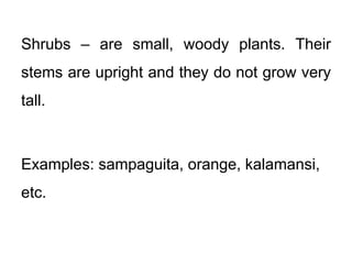 Shrubs – are small, woody plants. Their
stems are upright and they do not grow very
tall.
Examples: sampaguita, orange, kalamansi,
etc.
 