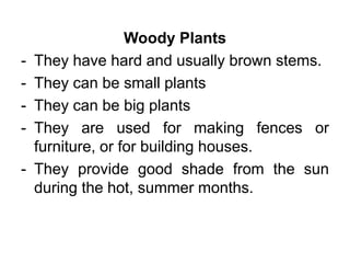Woody Plants
- They have hard and usually brown stems.
- They can be small plants
- They can be big plants
- They are used for making fences or
furniture, or for building houses.
- They provide good shade from the sun
during the hot, summer months.
 
