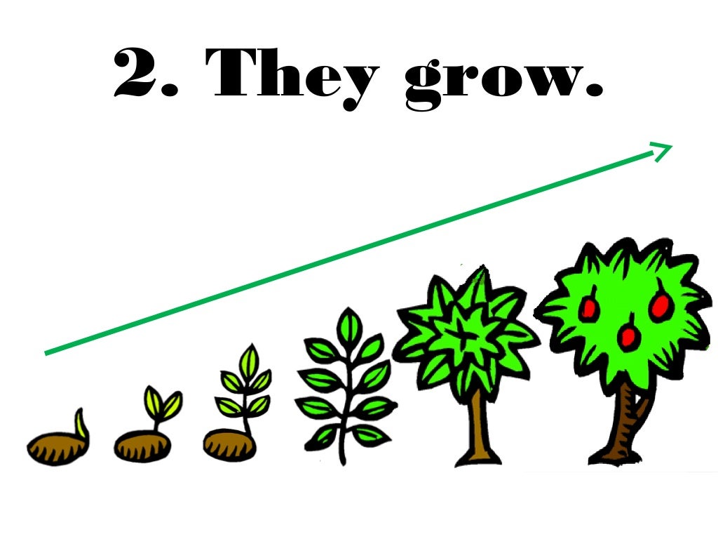 Plants are living things