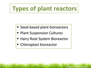  Seed-based plant bioreactors
 Plant Suspension Cultures
 Hairy Root System Bioreactor
 Chloroplast bioreactor
Types of plant reactors
 