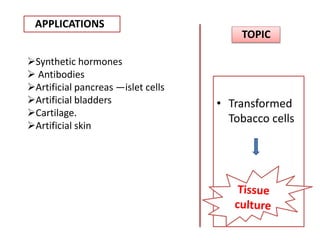 APPLICATIONS
TOPIC
• Transformed
Tobacco cells
Synthetic hormones
 Antibodies
Artificial pancreas —islet cells
Artificial bladders
Cartilage.
Artificial skin
 