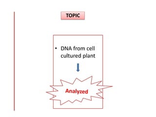 TOPIC
• DNA from cell
cultured plant
 