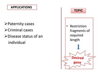 APPLICATIONS
TOPIC
• Restriction
fragments of
required
length
Paternity cases
Criminal cases
Disease status of an
individual
 