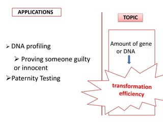 APPLICATIONS
TOPIC
Amount of gene
or DNA
 DNA profiling
 Proving someone guilty
or innocent
Paternity Testing
 