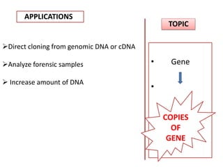 APPLICATIONS
TOPIC
• Gene
•
COPIES
OF
GENE
Direct cloning from genomic DNA or cDNA
Analyze forensic samples
 Increase amount of DNA
 