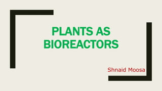 PLANTS AS
BIOREACTORS
Shnaid Moosa
 