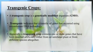 Transgenic Crops:
• A transgenic crop is a genetically modified organism (GMO).
• Transgenic indicates that a transfer of genes has occurred using
recombinant DNA technology.
• Generally a transgenic crop contains one or more genes that have
been inserted artificially either from an unrelated plant or from
different species altogether.
 