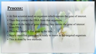 Process:
• At first scientist need an organism which contain the gene of interest.
• Then they extract the DNA from that organism.
• Then with the help of gene cloning, they isolate the gene of interest
from DNA.
• Then they modify that gene in the labs.
• Newly modified transgene is ready to insert in the targeted organism.
• This is done by two methods.
 