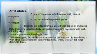• Agrobacterium:
A type of bacterium which can naturally transfer
transgenes
to the nucleus of targeted organism.
• Genegun:
It shoots the golden particle coated with copies of transgene .
If the transgene is successfully integrated then a new organism with such
trait will grown.
• Here the genetic engineering is done .
• These transgenic organisms are handed over the breeders .So they breed it
with other such organisms in more traditional ways, to select for other
desirable traits.
 