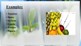 Examples:
• Tomatoes
• Honey
• Soybean
• Canola
• Potatoes
• Papaya
 