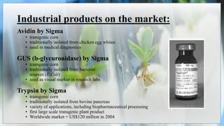 Industrial products on the market:
Avidin by Sigma
• transgenic corn
• traditionally isolated from chicken egg whites
• used in medical diagnostics
GUS (b-glycuronidase) by Sigma
• transgenic corn
• traditionally isolated from bacterial
sources (E.Coli)
• used as visual marker in research labs
Trypsin by Sigma
• transgenic corn
• traditionally isolated from bovine pancreas
• variety of applications, including biopharmaceutical processing
• first large scale transgenic plant product
• Worldwide market = US$120 million in 2004
 