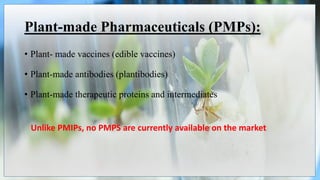 Plant-made Pharmaceuticals (PMPs):
• Plant- made vaccines (edible vaccines)
• Plant-made antibodies (plantibodies)
• Plant-made therapeutic proteins and intermediates
Unlike PMIPs, no PMPS are currently available on the market
 