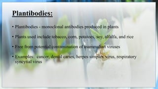 Plantibodies:
• Plantibodies - monoclonal antibodies produced in plants
• Plants used include tobacco, corn, potatoes, soy, alfalfa, and rice
• Free from potential contamination of mammalian viruses
• Examples: cancer, dental caries, herpes simplex virus, respiratory
syncytial virus
 