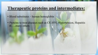 Therapeutic proteins and intermediates:
• Blood substitutes – human hemoglobin
• Proteins to treat diseases such as CF, HIV, Hypertension, Hepatitis
B…..many others
 
