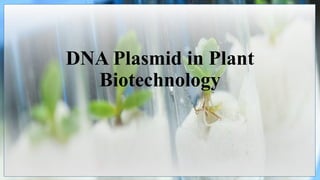 DNA Plasmid in Plant
Biotechnology
 