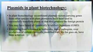 Plasmids in plant biotechnology:
• In plant biotechnology recombinant plasmid vectors carrying genes
from other species with plant promoters have been used to
successfully transform plants so that they produce the foreign protein
• You may have heard of Genetically Modified Organisms (GMO)
• Everything from resistance to herbicides, insect pathogens, over
production of certain chemicals, modified fruit, the list goes on, have
been achieved.
 