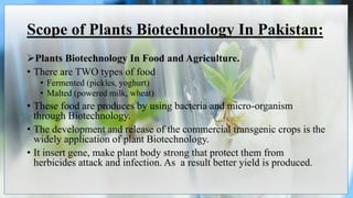 Scope of Plants Biotechnology In Pakistan:
Plants Biotechnology In Food and Agriculture.
• There are TWO types of food
• Fermented (pickles, yoghurt)
• Malted (powered milk, wheat)
• These food are produces by using bacteria and micro-organism
through Biotechnology.
• The development and release of the commercial transgenic crops is the
widely application of plant Biotechnology.
• It insert gene, make plant body strong that protect them from
herbicides attack and infection. As a result better yield is produced.
 