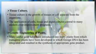 Tissue Culture.
• Tissue culture is the growth of tissues or cell separate from the
organisms.
• The application of cells, tissue and organ cultures central to many
modern crop-improvement programs.
Genetic Engineering of Plants.
• Many useful gene have been introduced into many plants from which
transgenic plants have been developed in which foreign DNA has been
integrated and resulted in the synthesis of appropriate gene product.
 