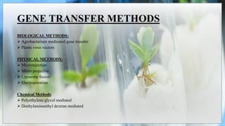 GENE TRANSFER METHODS
BIOLOGICAL METHODS:
 Agrobacterium medicated gene transfer
 Plants virus vectors
PHYSICAL METHODS:
 Microinjection
 Micro projectile
 Liposome fusion
 Electroporation
Chemical Methods:
 Polyethylene glycol mediated
 Diethylaminoethyl dextran mediated
 