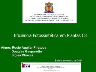 Eficiência Fotossintética em Plantas C3  Aluno: Rocío Aguilar Piratoba             Douglas Gasparetto             Siglea Chaves Belém, setembro de 2011 