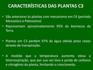 CAMDiferenças entre Processos de Fixação de CO2Fonte: Santos, 2005