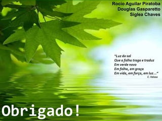 Características das plantas C3São anteriores às plantas com mecanismo em C4 (período Mesozoico e Paleozoico)