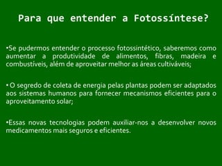 Espectro Eletromagnético da FotossínteseÉ necessário que a clorofila absorva a energia de um fóton com o comprimento ideal de onda para iniciar as reações químicas. Fonte: InfoEscola, 2011