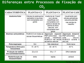  O segredo de coleta de energia pelas plantas podem ser adaptados aos sistemas humanos para fornecer mecanismos eficientes para o aproveitamento solar;