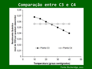 Essas novas tecnologias podem auxiliar-nos a desenvolver novos medicamentos mais seguros e eficientes.Processos de Fixação de CO2 pelas PlantasC3