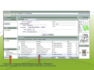 1.Associez votre/vos observation(s) au projet « Plantnet »  (faire glisser l’observation sur le titre du projet en maintenant le clic de la souris) 