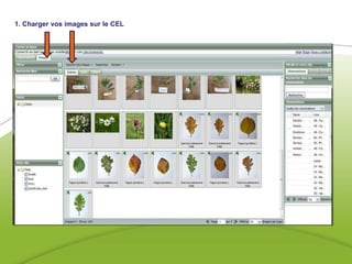1. Charger vos images sur le CEL 