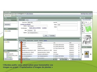 1.Rendez public votre observation pour transmettre vos images au projet « Capitalisation d’images de plantes » 