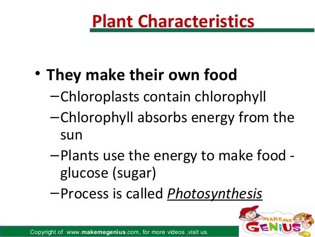 characteristics of plants Unit 1 characteristics and classification of living organisms welcome to the exciting and look at the sky, the soil, trees, plants, people, log in registration. characteristics of plants Unit 1 characteristics and classification of living organisms welcome to the exciting and look at the sky, the soil, trees, plants, people, log in registration.