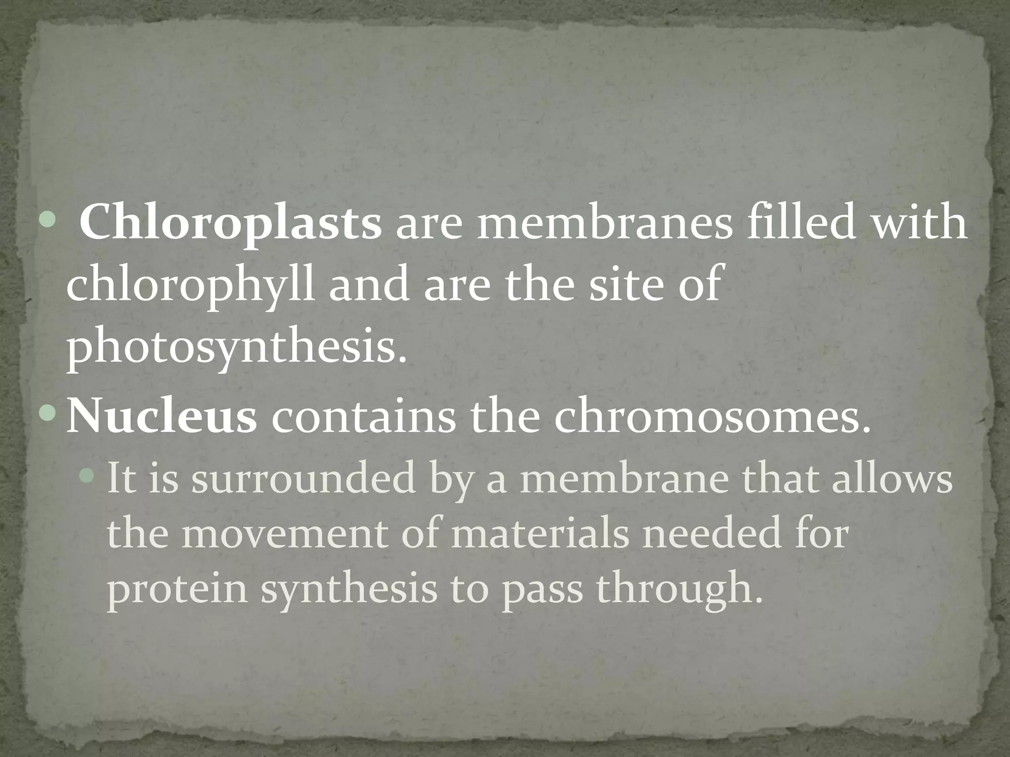 Chloroplasts  are membranes filled with chlorophyll and are the site of photosynthesis. Nucleus  contains the chromosomes. It is surrounded by a membrane that allows the movement of materials needed for protein synthesis to pass through. 